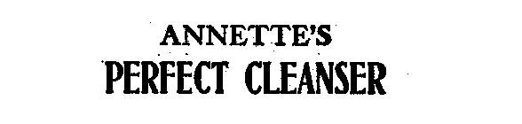 ANNETTE'S PERFECT CLEANSER