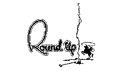 ROUND UP