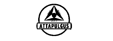 ATTAPULGUS MINERALS ABSORBENTS CHEMICALS