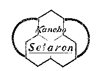 KANEBO SETARON