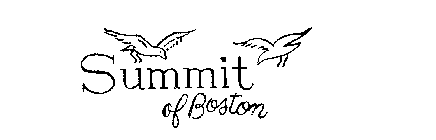 SUMMIT OF BOSTON