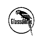 GLASSOMAX