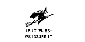 IF IT FLIES-WE INSURE IT