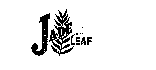 JADE WIDE LEAF