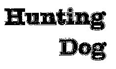 HUNTING DOG