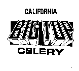CALIFORNIA BIG TOP CELERY