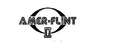 AMER-FLINT II