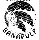 BANAPULP