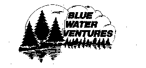 BLUE WATER VENTURES
