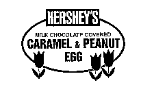 HERSHEY'S MILK CHOCOLATE COVERED CARAMEL & PEANUT EGG