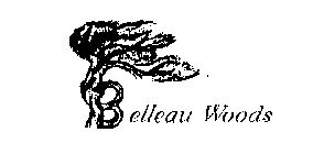 BELLEAU WOODS