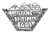 BRINE SHRIMP EGGS