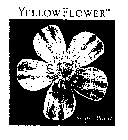 YELLOW FLOWER SEMPER VIRENS