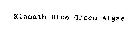 KLAMATH BLUE GREEN ALGAE