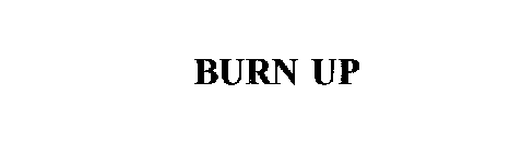 BURN UP
