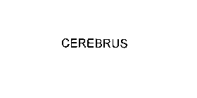 CEREBRUS