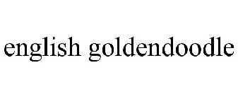 ENGLISH GOLDENDOODLE