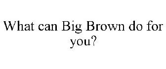 WHAT CAN BIG BROWN DO FOR YOU?