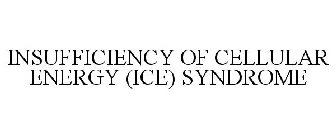 INSUFFICIENCY OF CELLULAR ENERGY (ICE) SYNDROME