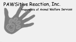 PAWSITIVE REACTION, INC. PROPONENTS OF ANIMAL WELFARE SERVICES