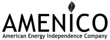AMENICO AMERICAN ENERGY INDEPENDENCE COMPANY
