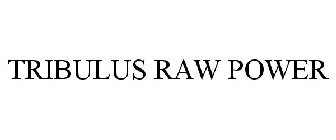 TRIBULUS RAW POWER