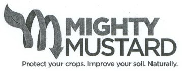MIGHTY MUSTARD PROTECT YOUR CROPS. IMPROVE YOUR SOIL. NATURALLY.