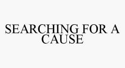 SEARCHING FOR A CAUSE