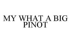 MY WHAT A BIG PINOT