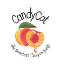 CANDYCOT THE SWEETEST THING ON EARTH