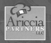 ARICCIA PARTNERS LLC