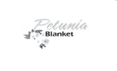 PETUNIA BLANKET