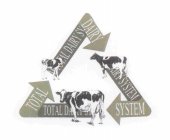 TOTAL DAIRY SYSTEM