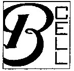 B CELL
