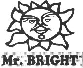 MR. BRIGHT