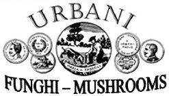 URBANI FUNGHI - MUSHROOMS
