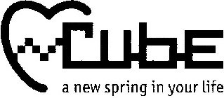 CUBE A NEW SPRING IN YOUR LIFE