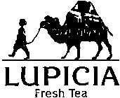 LUPICIA FRESH TEA