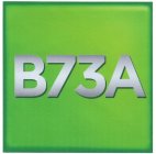 B73A