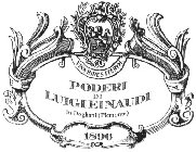 VINA BIBES ITERUM PODERI DI LUIGI EINAUDI IN DOGLIANI (PIEMONTE) 1896