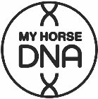 MY HORSE DNA