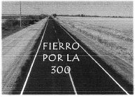 FIERRO POR LA 300