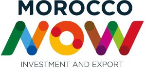 MOROCCO NOW INVESTMENT AND EXPORT