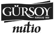 GÜRSOY KURULUS 1933 NUTIO