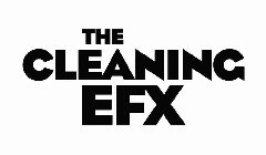 THE CLEANING EFX