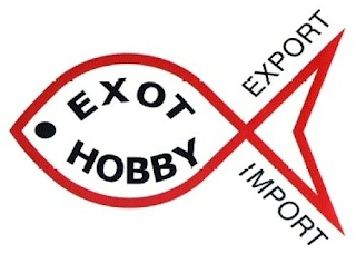 EXOT HOBBY EXPORT IMPORT