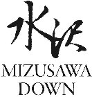 MIZUSAWA DOWN