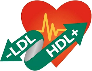-LDL HDL+