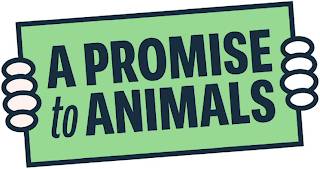 A PROMISE TO ANIMALS