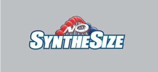SYNTHESIZE NO